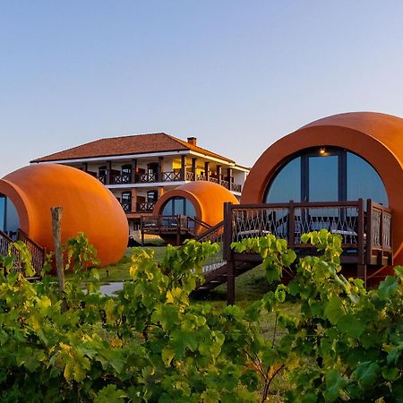 Hotel Qvevrebi تأيلافي المظهر الخارجي الصورة
