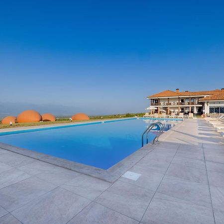 Hotel Qvevrebi تأيلافي المظهر الخارجي الصورة