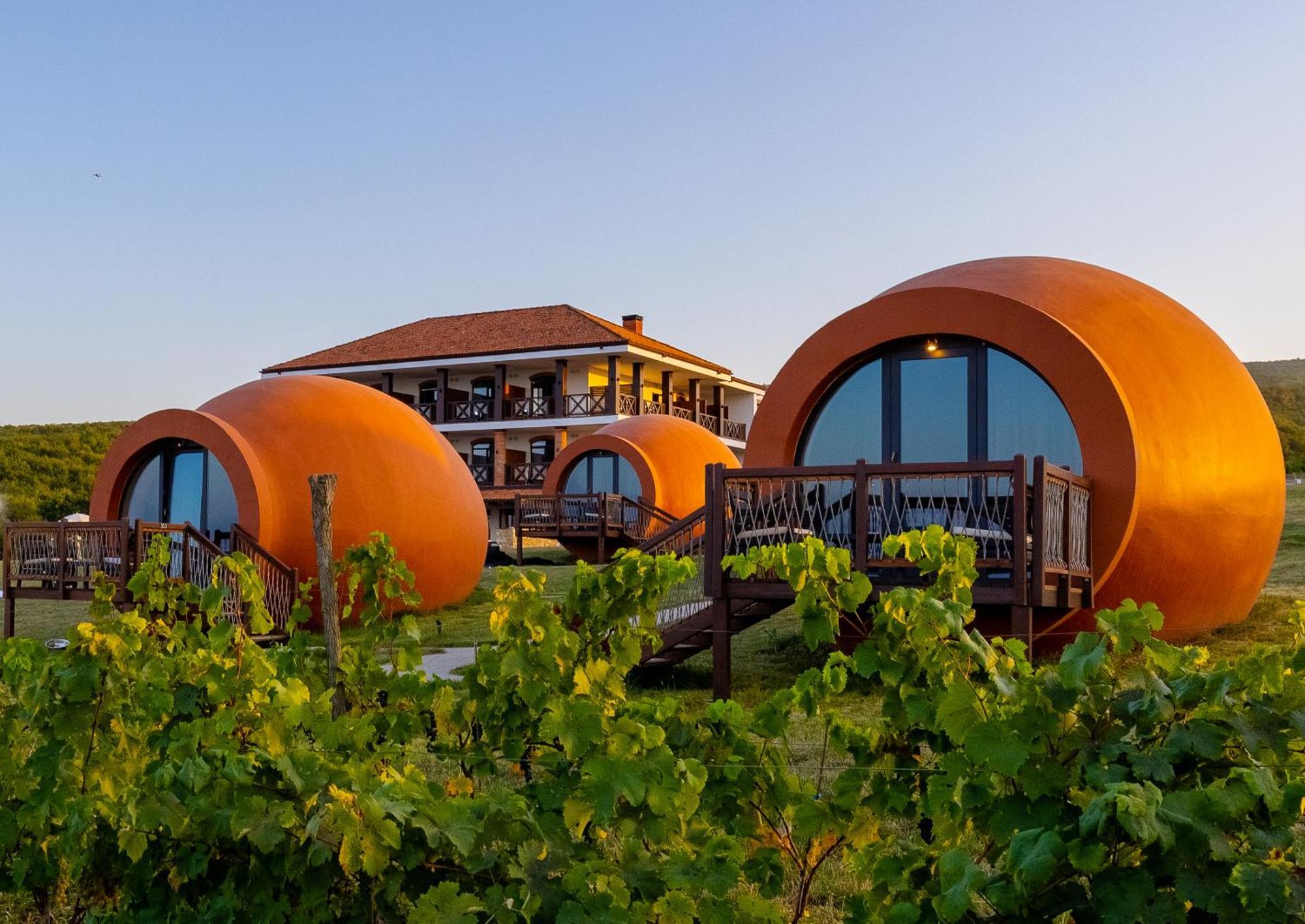 Hotel Qvevrebi تأيلافي المظهر الخارجي الصورة